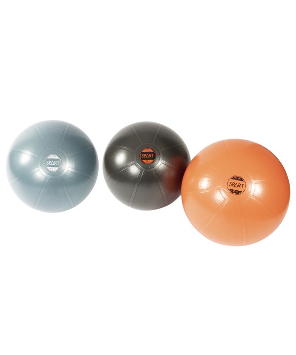 Pro Exercise Ball - 1