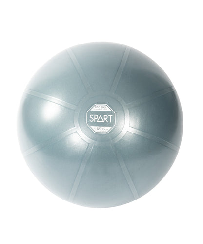 Pro Exercise Ball - 2