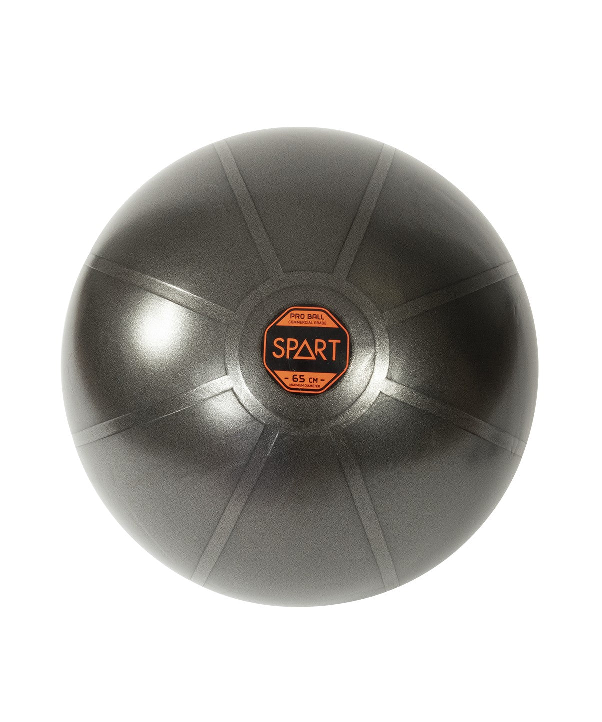 Pro Exercise Ball - 3