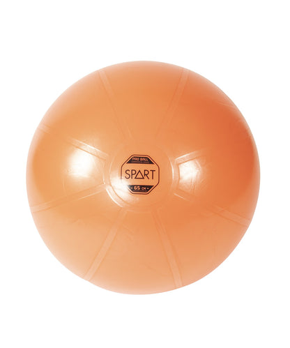 Pro Exercise Ball - 4