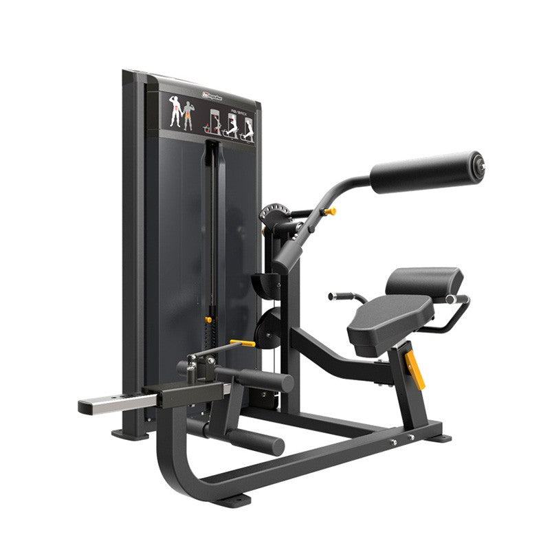 IF9334 Ab and Back Extension - 1