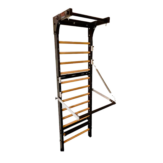 Align Pilates Fuse Ladder - 1