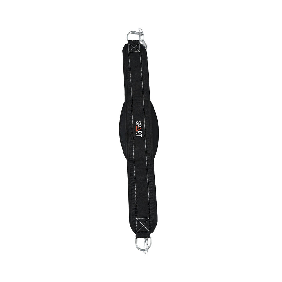 Dipping Belt