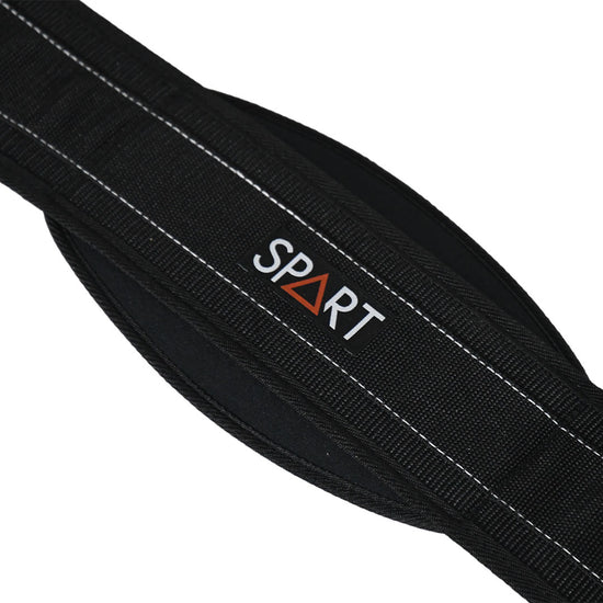 Dipping Belt