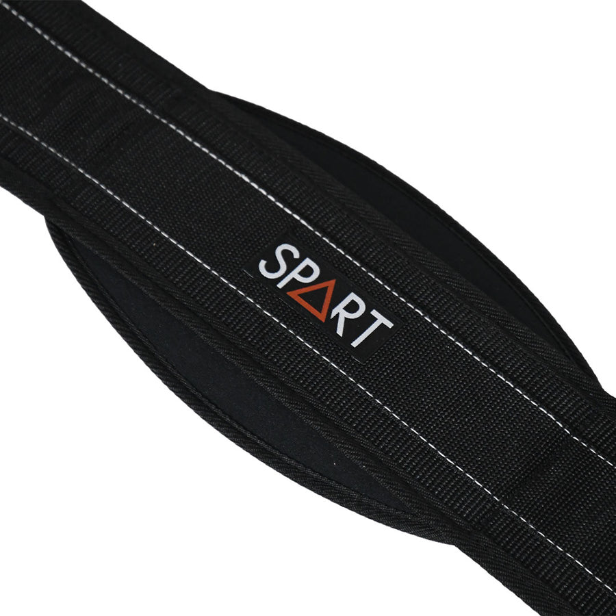 Dipping Belt