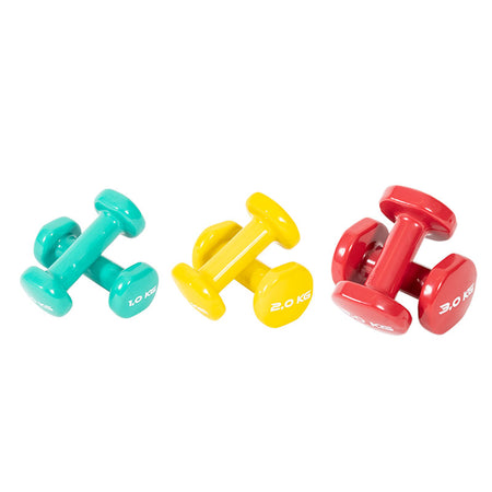 PVC Dumbbell Package 1,2,3KG