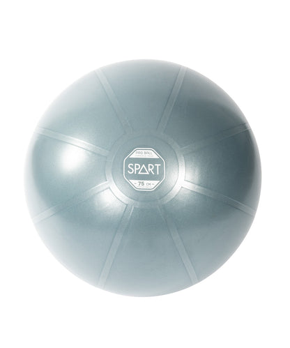 Pro Exercise Ball