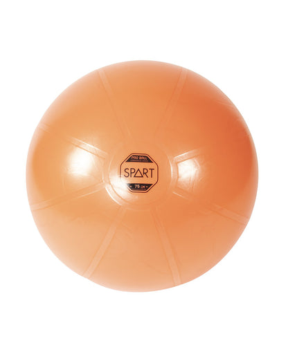 Pro Exercise Ball